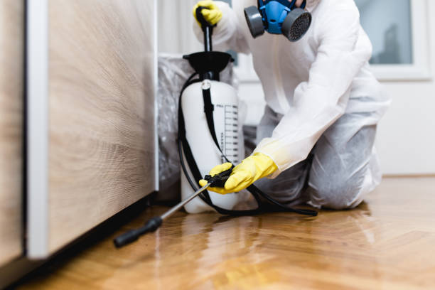Best Affordable Pest Control Services  in Ness City, KS