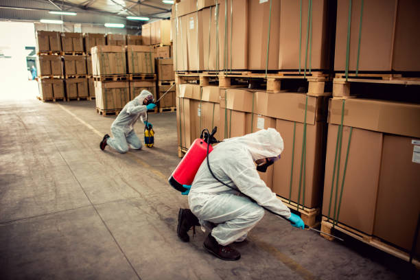 Best Wasp Removal Services  in Ness City, KS