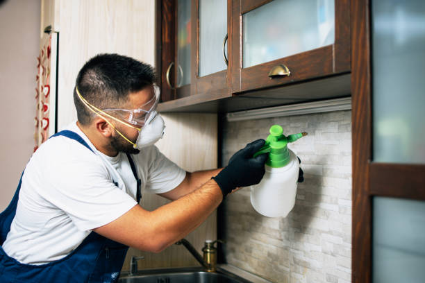 Best Bed Bug Extermination  in Ness City, KS