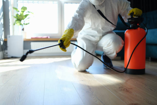 Flea Control Services in Ness City, KS