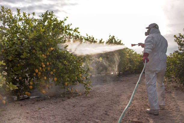 Professional Pest Control in Ness City, KS