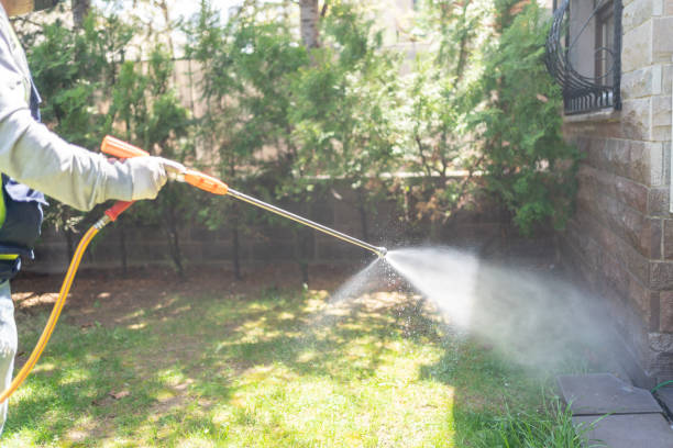 Best Pest Removal Services  in Ness City, KS