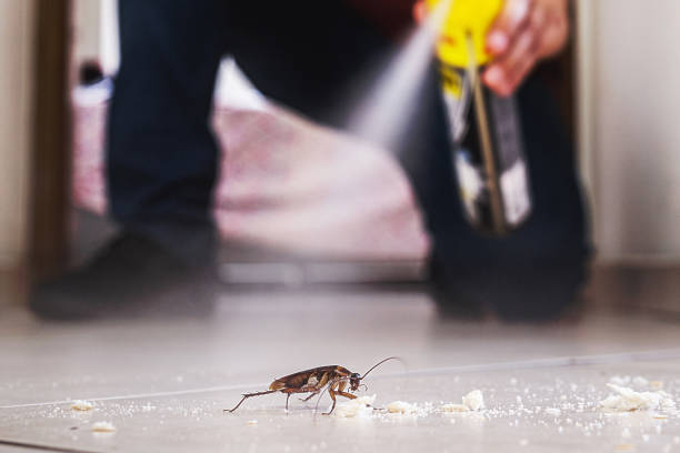 Best Emergency Pest Control  in Ness City, KS