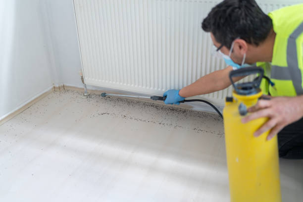 Best Exterminator Services  in Ness City, KS